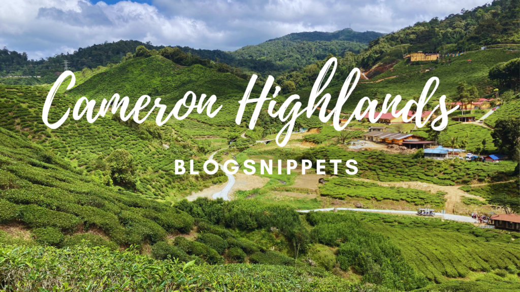 Cameron Highlands Weekend Trip from Kuala Lumpur: Itinerary & Budget Travel Guide